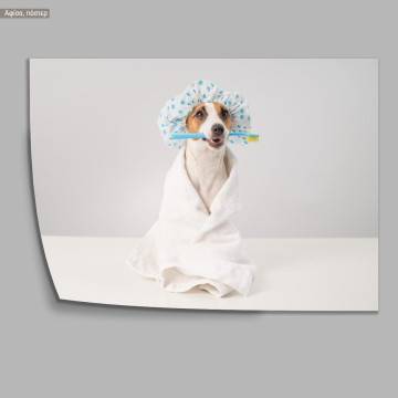 A dog model X, Poster 2