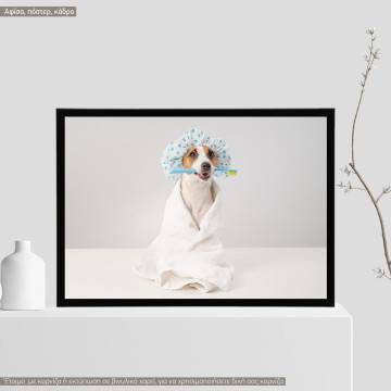 A dog model X, Poster