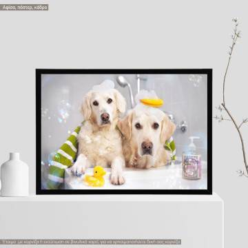 A dog model IX, Poster