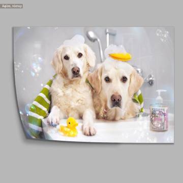 A dog model IX  κάδρο, μαύρη κορνίζα 2