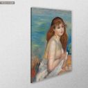 Canvas print After the bath, Renoir Pierre-Augus