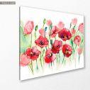 Canvas print, Poppies horizontal