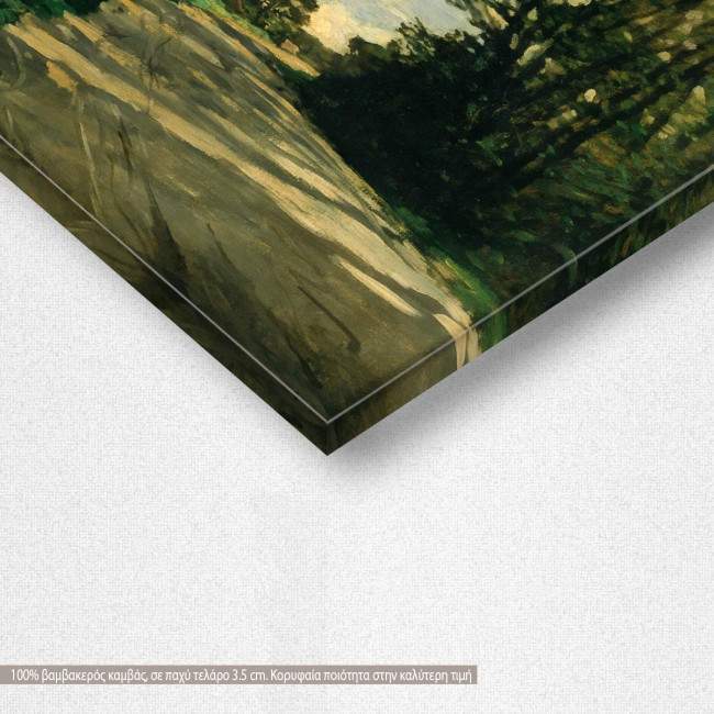 Canvas print Walk, Monet C.