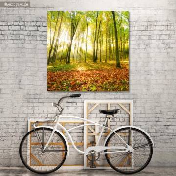 Canvas print Beautiful morning in autumn forest