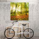 Canvas print Beautiful morning in autumn forest
