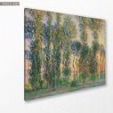Canvas print Tree grove, Monet C.