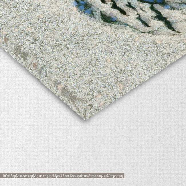 Πίνακας σε καμβά Dare to fly III, λεπτομέρεια