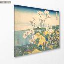 Canvas print Fuji from Gotenyama, Hokusai K.