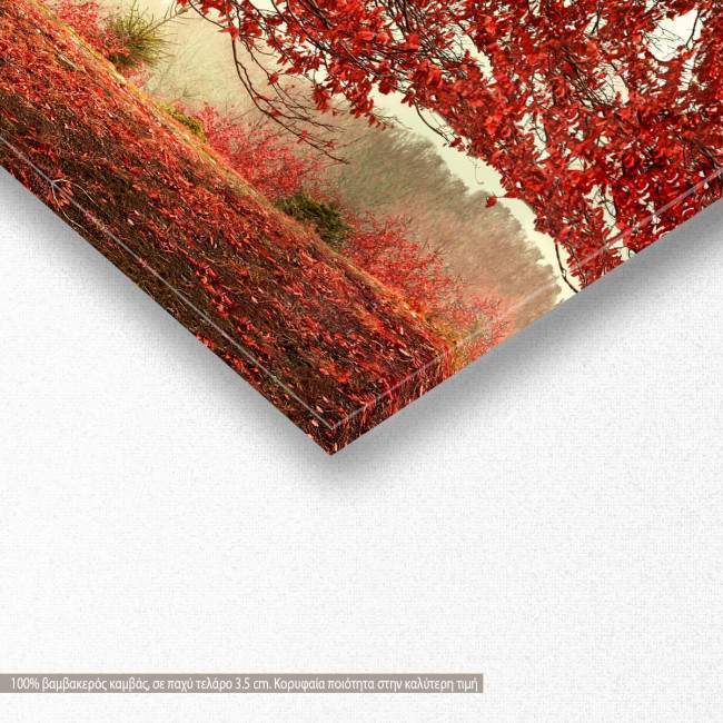 Πίνακας σε καμβά Red forest, πανοραμικός, λεπτομέρεια