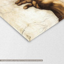 Πίνακας ζωγραφικής The creation of Adam, Michelangelo, αντίγραφο σε καμβά, λεπτομέρεια