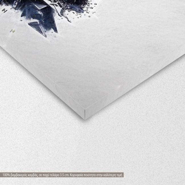 Canvas print The star