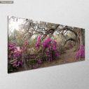 Canvas print Azaleas I, panoramic