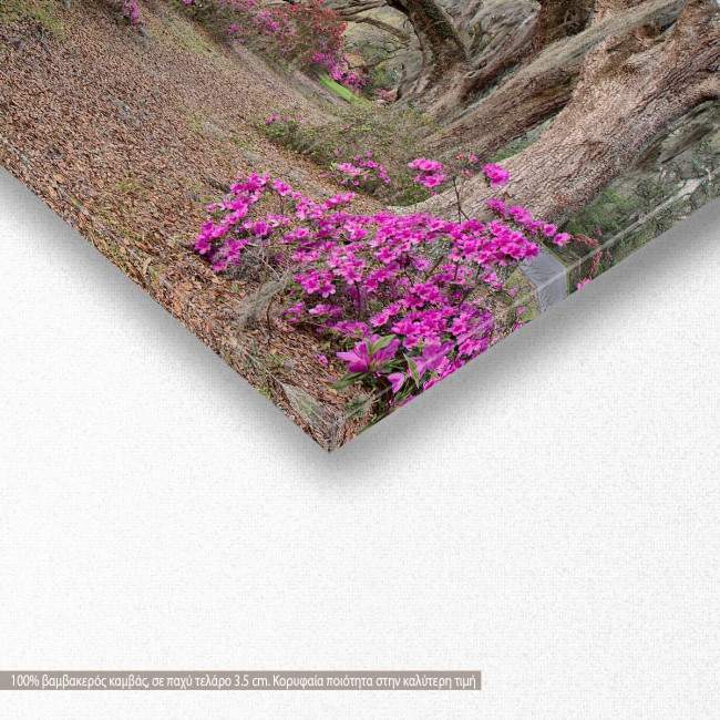 Πίνακας σε καμβά Azaleas I, πανοραμικός, λεπτομέρεια