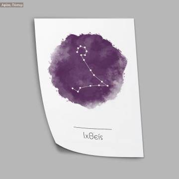 Pisca zodiac, poster 2