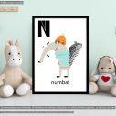 N numbat poster