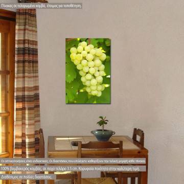 Canvas print Grapes