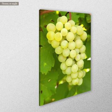 Canvas print Grapes View 1 2