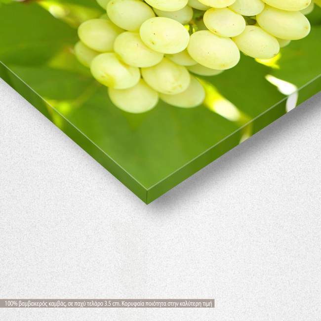 Canvas print Grapes