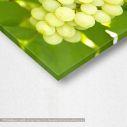 Canvas print Grapes