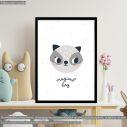 Newborn Raccoon, poster