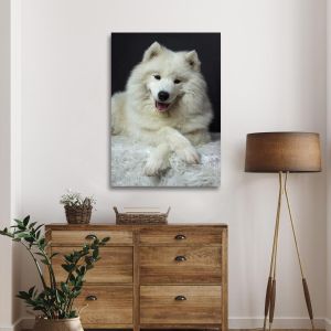 Πίνακας σε καμβά Samoyed dog Καμβάς τελαρωμένος Όψη 1 2