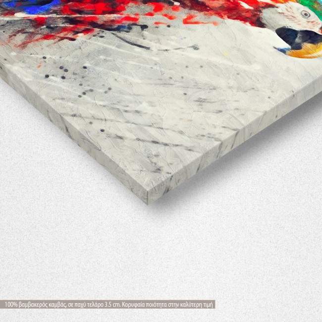 Πίνακας σε καμβά Parrot colours, λεπτομέρεια