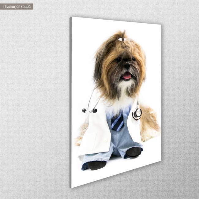 Canvas print Dog doctor