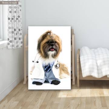 Canvas print Dog doctor