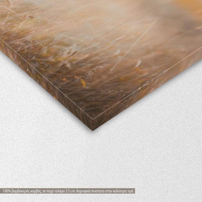 Πίνακας σε καμβά Hungarian hound pointer, λεπτομέρεια