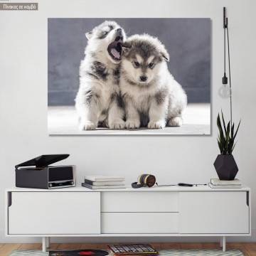 Canvas print Alaskan Malamute puppies