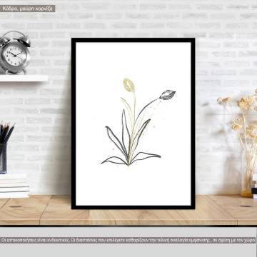 Botanical comp Χ, κάδρο, μαύρη κορνίζα