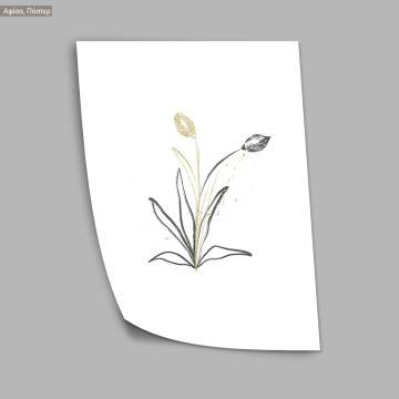 Botanical comp X, Poster 2