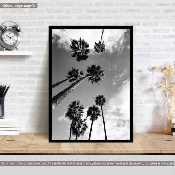 Palm trees grayscale, κάδρο, μαύρη κορνίζα