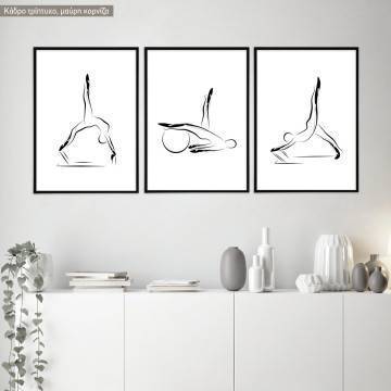 Poster Flowers explosion 3 panels