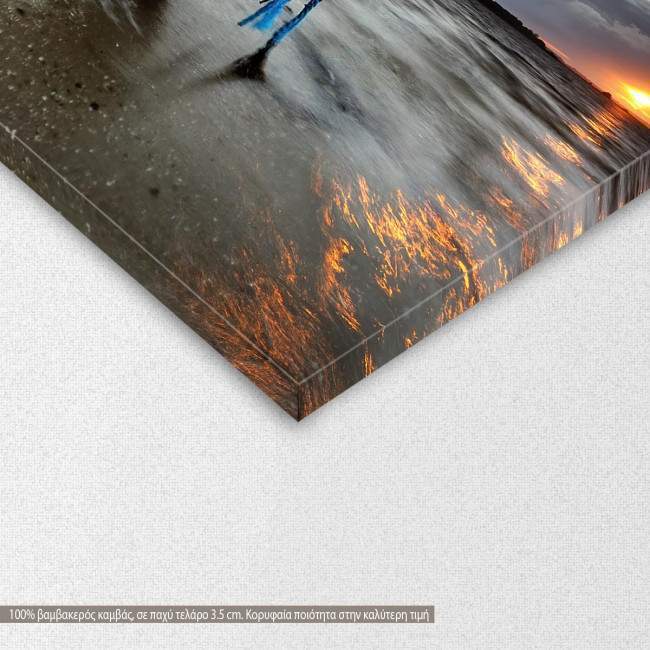 Canvas print boat, Abandoned boat