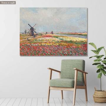 Canvas print Tulip fields with windmills, Monet C