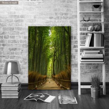 Canvas print Bamboo forest, Japan