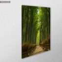 Πίνακας σε καμβά Δάσος Ιαπωνία, Bamboo forest, Japan, κοντινό