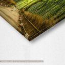 Canvas print Bamboo forest, Japan