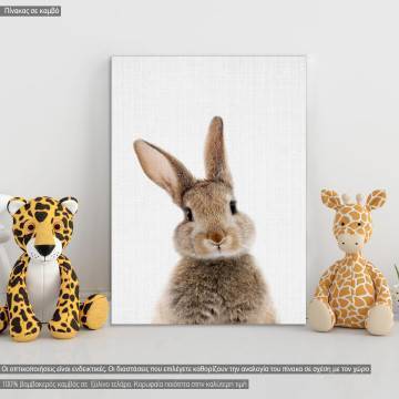 Kids canvas print Hello rabbit