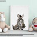 Πίνακας παιδικός σε καμβά Ζέβρα (zebra), καμβάς τελαρωμένος