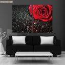Πίνακας σε καμβά Rose with water drops, δίπτυχος