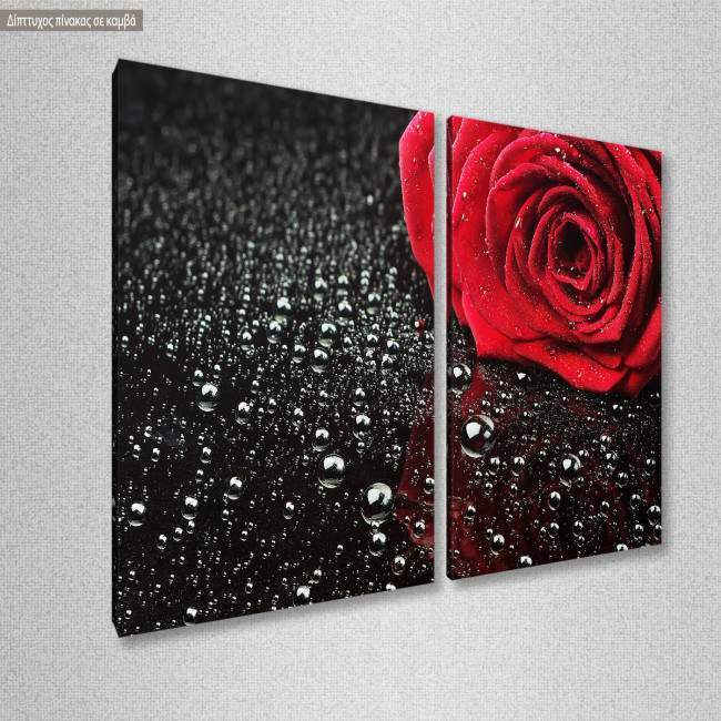 Πίνακας σε καμβά Rose with water drops, δίπτυχος, κοντινό