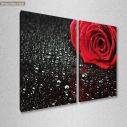 Canvas print Rose with water drops, two panels