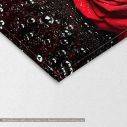 Canvas print Rose with water drops, two panels