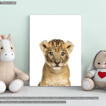 Πίνακας παιδικός σε καμβά Λιονταράκι (lion cub), καμβάς τελαρωμένος