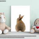 Πίνακας παιδικός σε καμβά Λαγουδάκι (rabbit), καμβάς τελαρωμένος