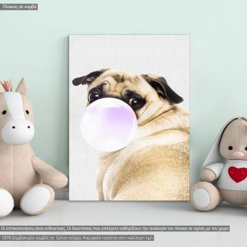 Πίνακας παιδικός σε καμβά, Παγκ (Bubble pug)