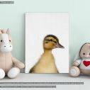 Πίνακας παιδικός σε καμβά Παπάκι (duckling), καμβάς τελαρωμένος