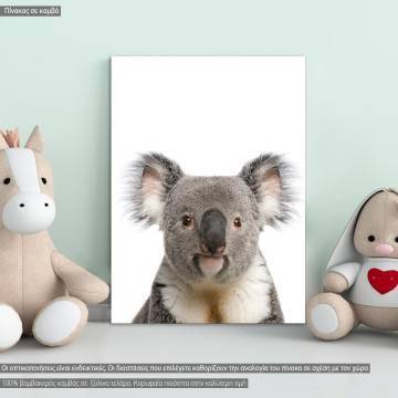 Πίνακας παιδικός σε καμβά Κοάλα (koala), καμβάς τελαρωμένος